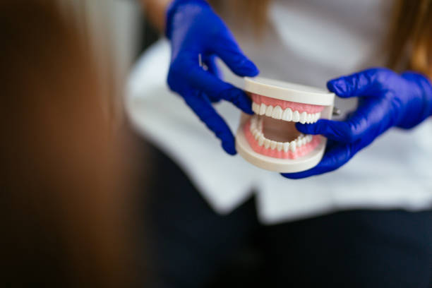 Best Dentures (Full and Partial)  in Harwood Heights, IL
