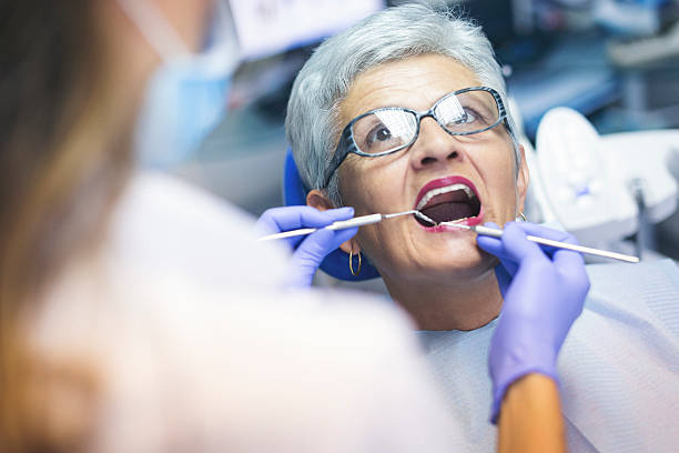 Professional  Holistic Dental Services in Harwood Heights, IL